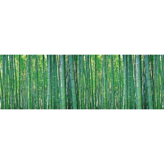ビニール幕 竹(写真)