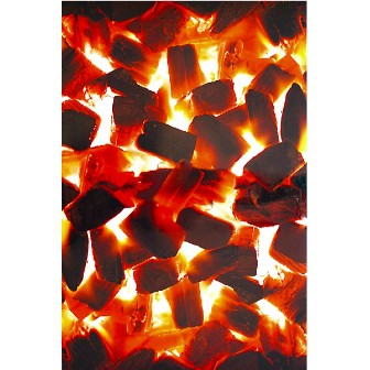 オリジナル陳列シート（炭火）