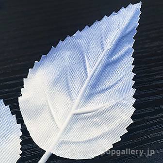 ウインターリーフスプレー