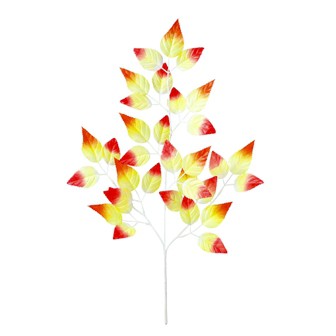 ウォームウインターリーフスプレー