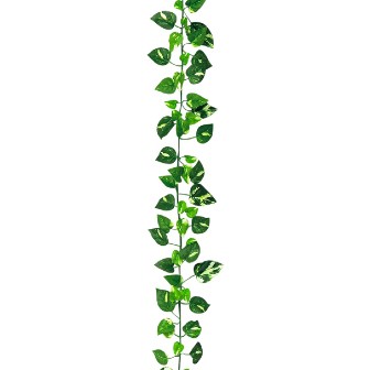 ニューポトスガーランド