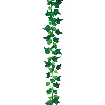 ニューアイビーガーランド