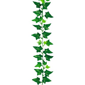 アイビーガーランド