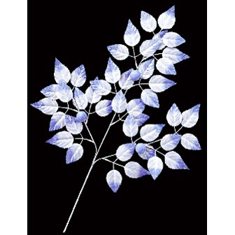 ホワイトバーチリーフスプレー