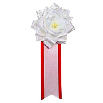 リボンバラ 小 白