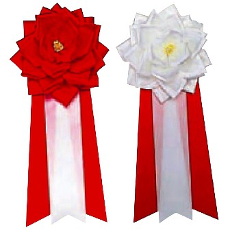 リボンバラ 中 白 W(白)