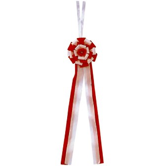 テープカット用リボン – YONEOKA RIBBON ヨネオカリボン