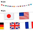 ミニ万国旗15カ国15旗（ポンジタイプ）