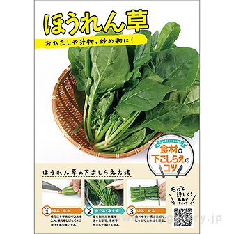 A3ポスター ほうれん草（下ごしらえのコツ）