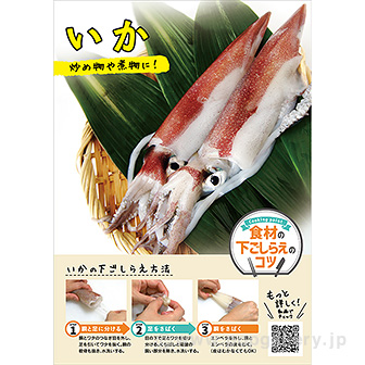 A3ポスター いか（下ごしらえのコツ）