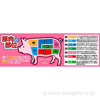 パラポスター 豚肉の部位