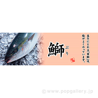 パラポスター 鰤(ぶり)