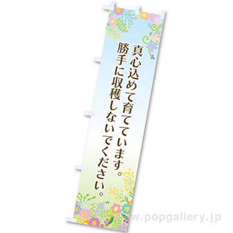 のぼり 真心込めて育てています。勝手に収穫~