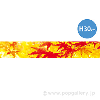 ラウンドシートS もみじ(写真)