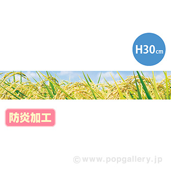 ラウンドシートS 稲穂（写真） （防炎加工）