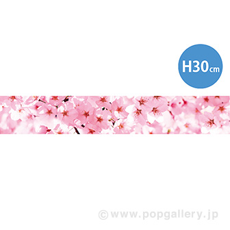 ラウンドシートS 桜（写真）