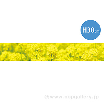 ラウンドシートS 菜の花（写真）