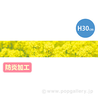ラウンドシートS 菜の花（写真） （防炎加工）