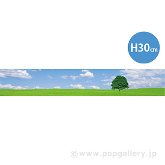 ラウンドシートS 青空と野原（写真）