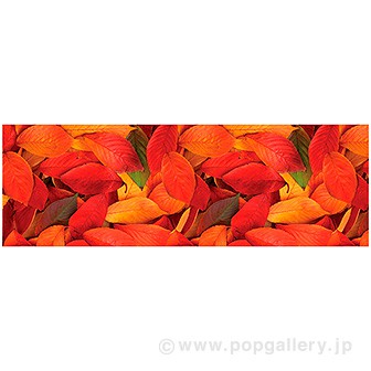 ラウンドシート 落ち葉（写真）