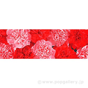 ラウンドシート カーネーション（写真）