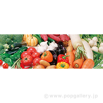 ラウンドシート　野菜（写真）