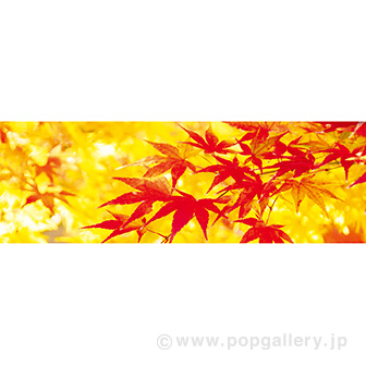 ラウンドシート もみじ(写真)