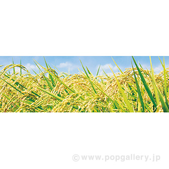 ラウンドシート 稲穂（写真）