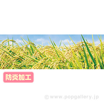 ラウンドシート 稲穂（写真） （防炎加工）