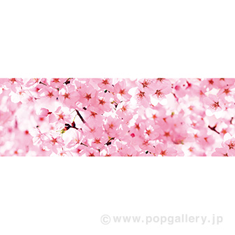 ラウンドシート 桜（写真）