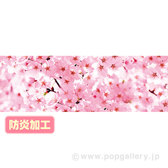 ラウンドシート 桜（写真） （防炎加工）