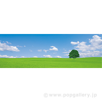 ラウンドシート 青空と野原（写真）
