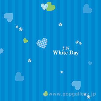 ラッピングペーパー WhiteDay （チェック ）