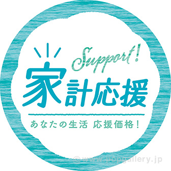 スポッター 家計応援（5枚入）