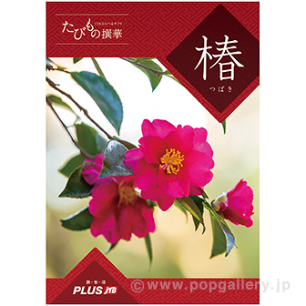 たびもの撰華（椿コース）