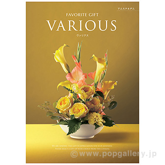 カタログギフト VARIOUS 「アムステルダム」