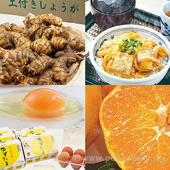 地元のギフト 【四国】