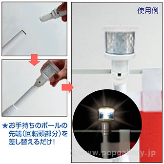 ピカのぼりⅡ（白）