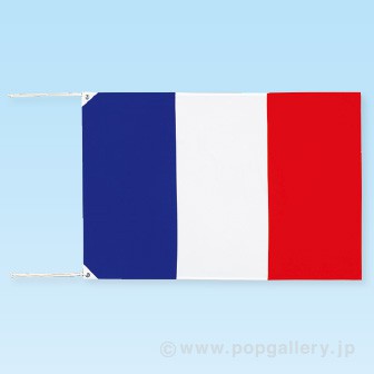 テトロン世界の国旗 フランス