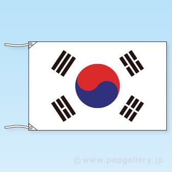 テトロン世界の国旗 韓国