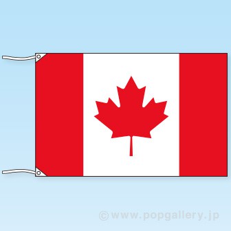 テトロン世界の国旗 カナダ
