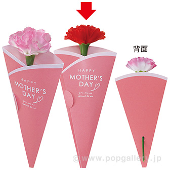 母の日カーネーション（メッセージカード付）