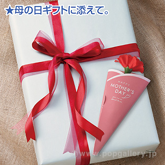 母の日カーネーション（メッセージカード付）