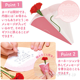 母の日カーネーション（メッセージカード付）