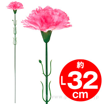 ピンクカーネーション(中)