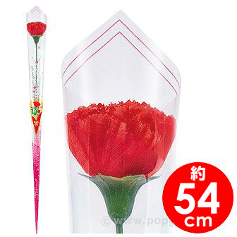 カーネーションかすみイラストラップ（大）