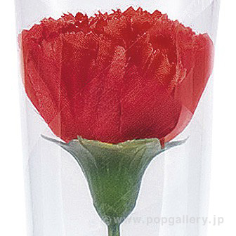 カーネーションかすみイラストラップ（大）