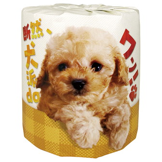 断然、犬派daワン！1ケース（100個入）