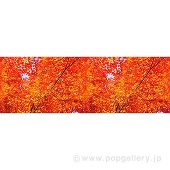 ビニール幕 もみじ（写真）（10M巻）