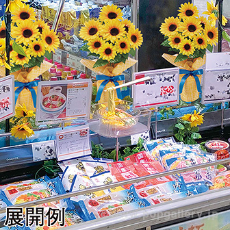 食品サンプル 冷やし中華